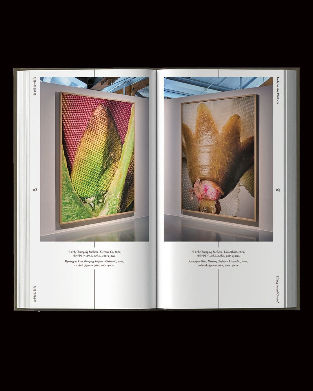 14afab64-5c06-4a8d-a539-f1c94e04dde3