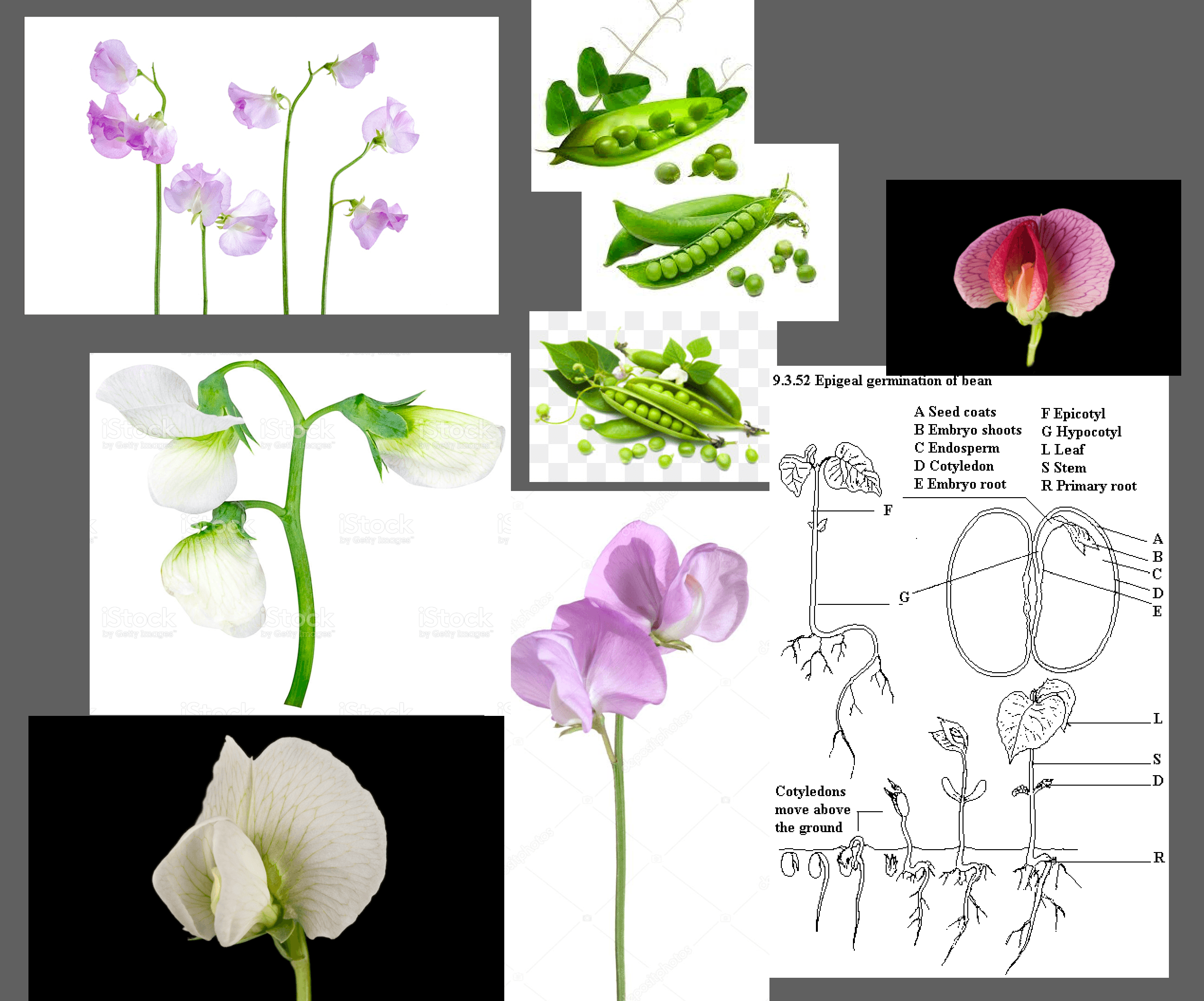 f7b4f376-6e9b-4c52-9b4e-4e40bbb8078d