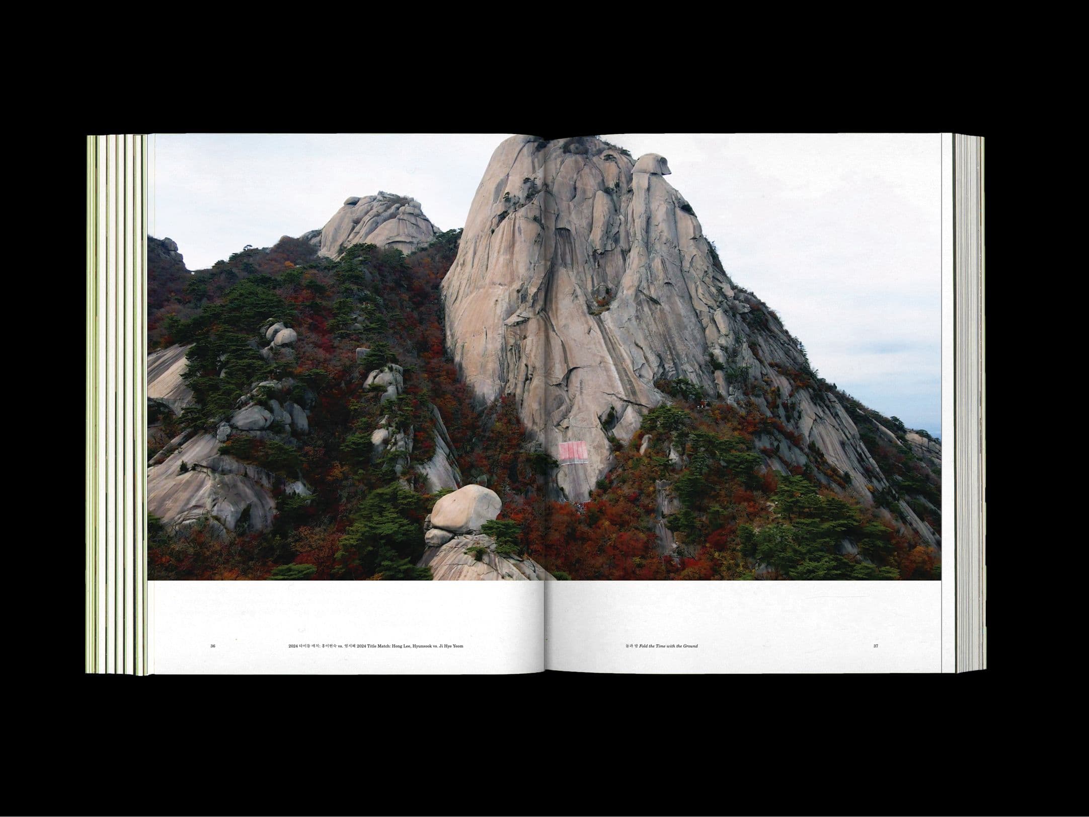 32d12fb1-0307-4030-a549-dd988c28767e